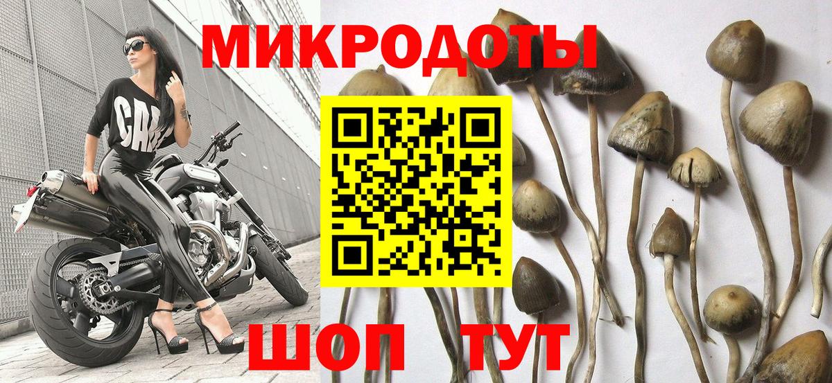 Оренбург  Галлюциногенные грибы Magic Shrooms  Вход с VPN 